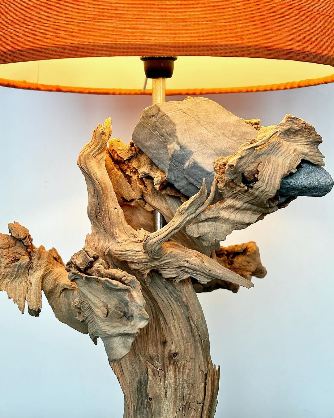 Unique Driftwood Lamp