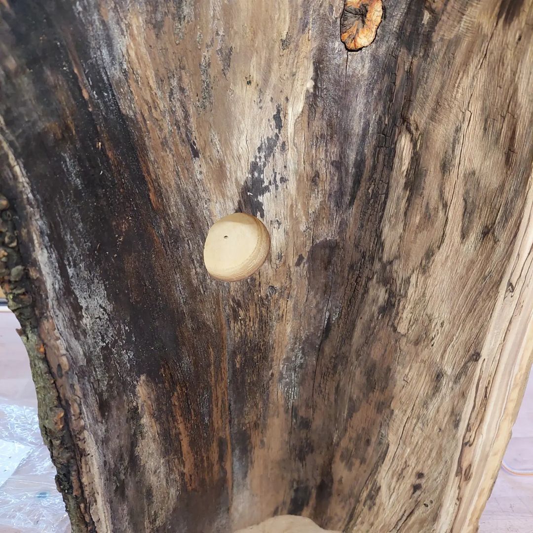 A weathered wooden stump with a circular cutout