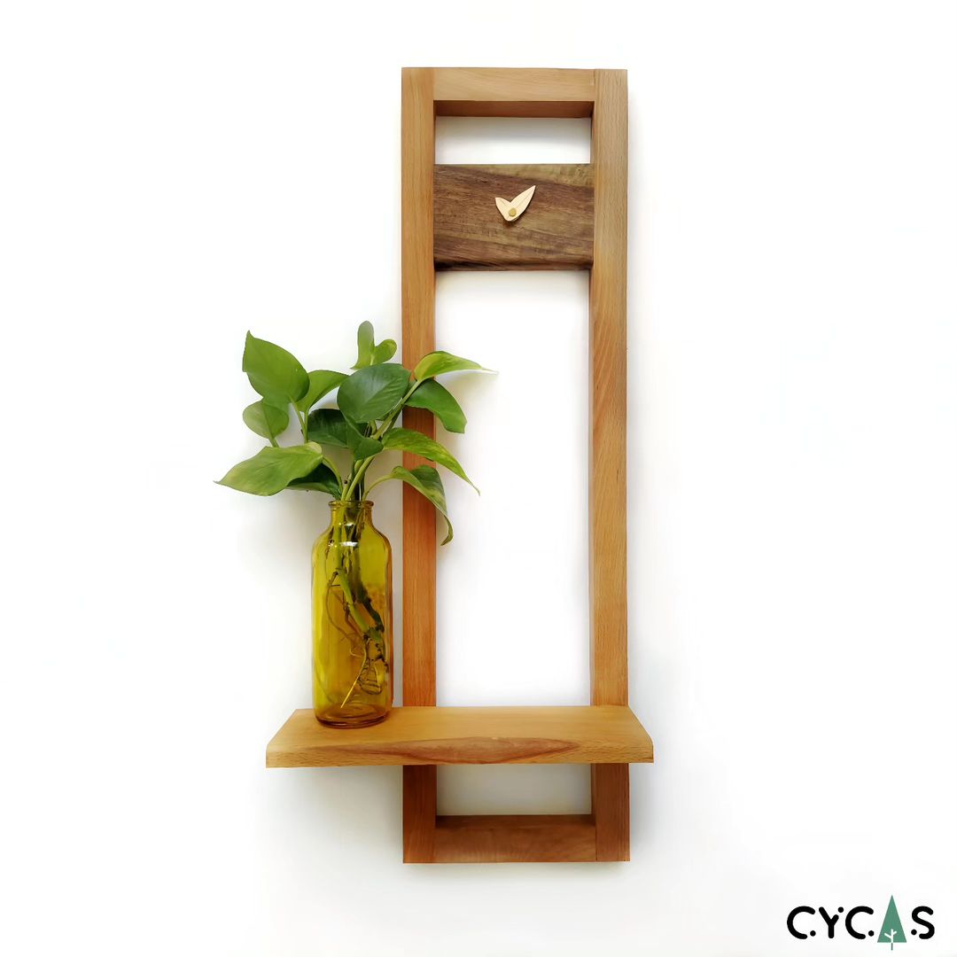 Minimalist Wooden Wall Shelf with Plant