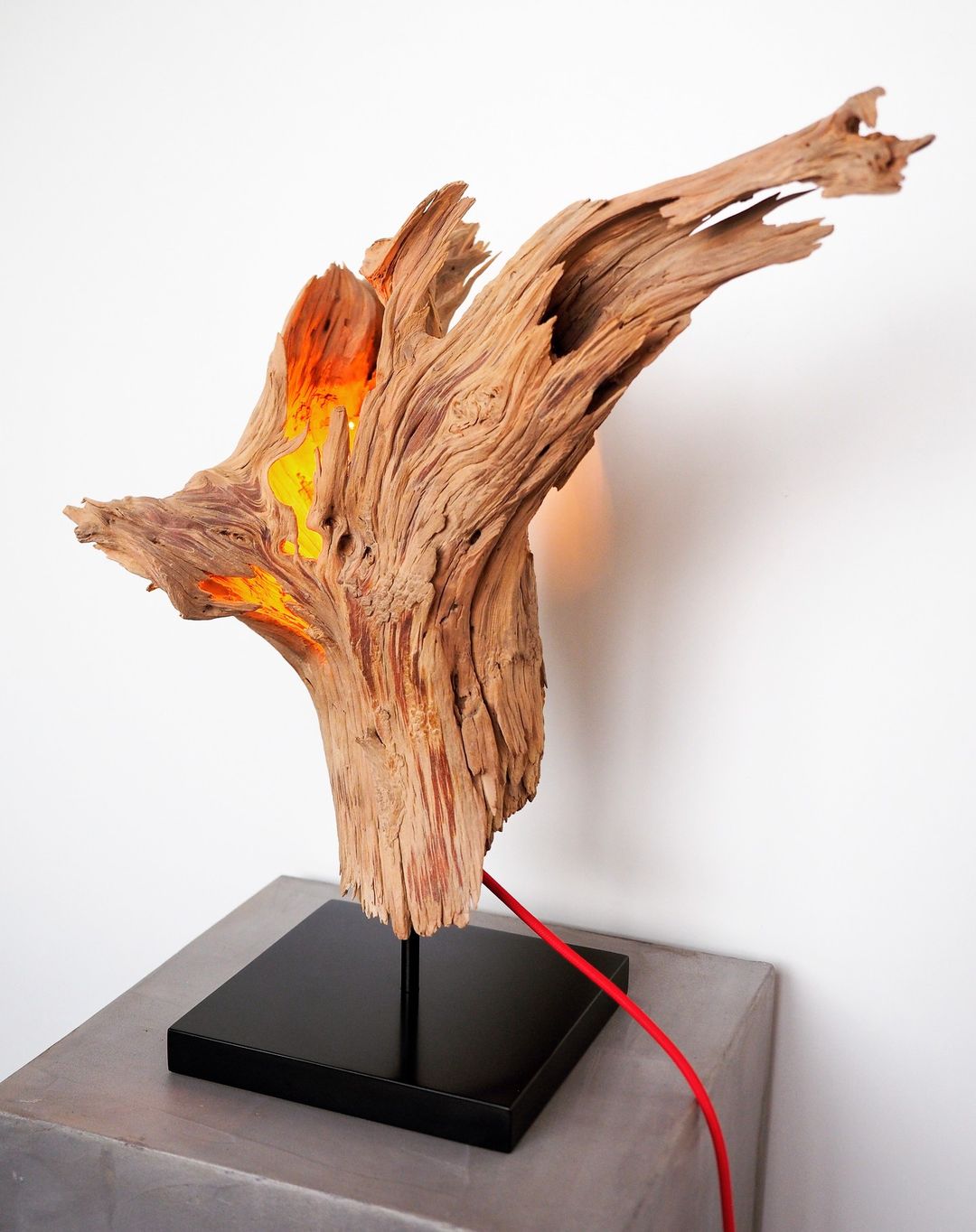 A unique sculptural lamp crafted from rugged driftwood, on a sleek black stand with a vibrant red cord.