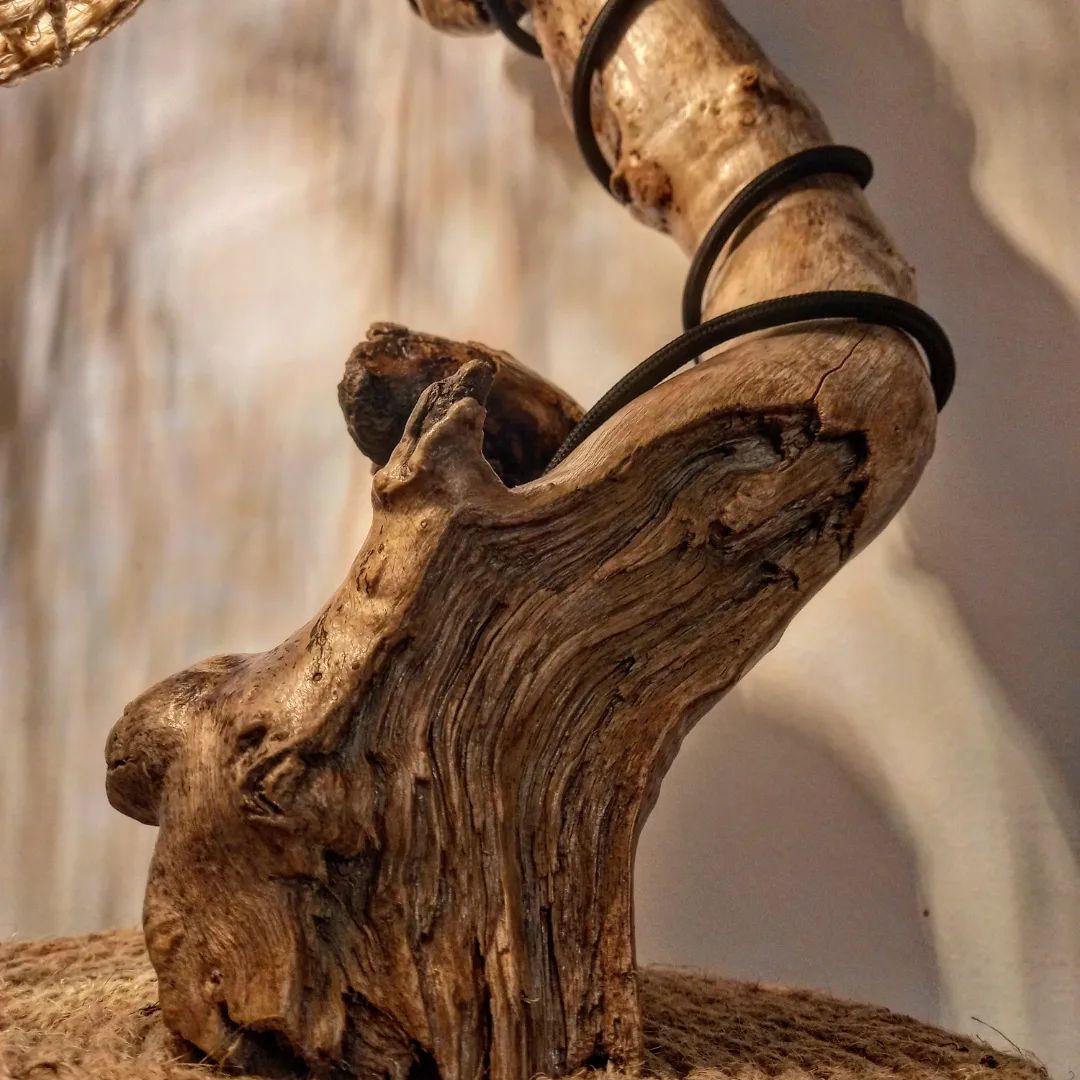 A unique piece of driftwood artfully intertwined with black circular bands