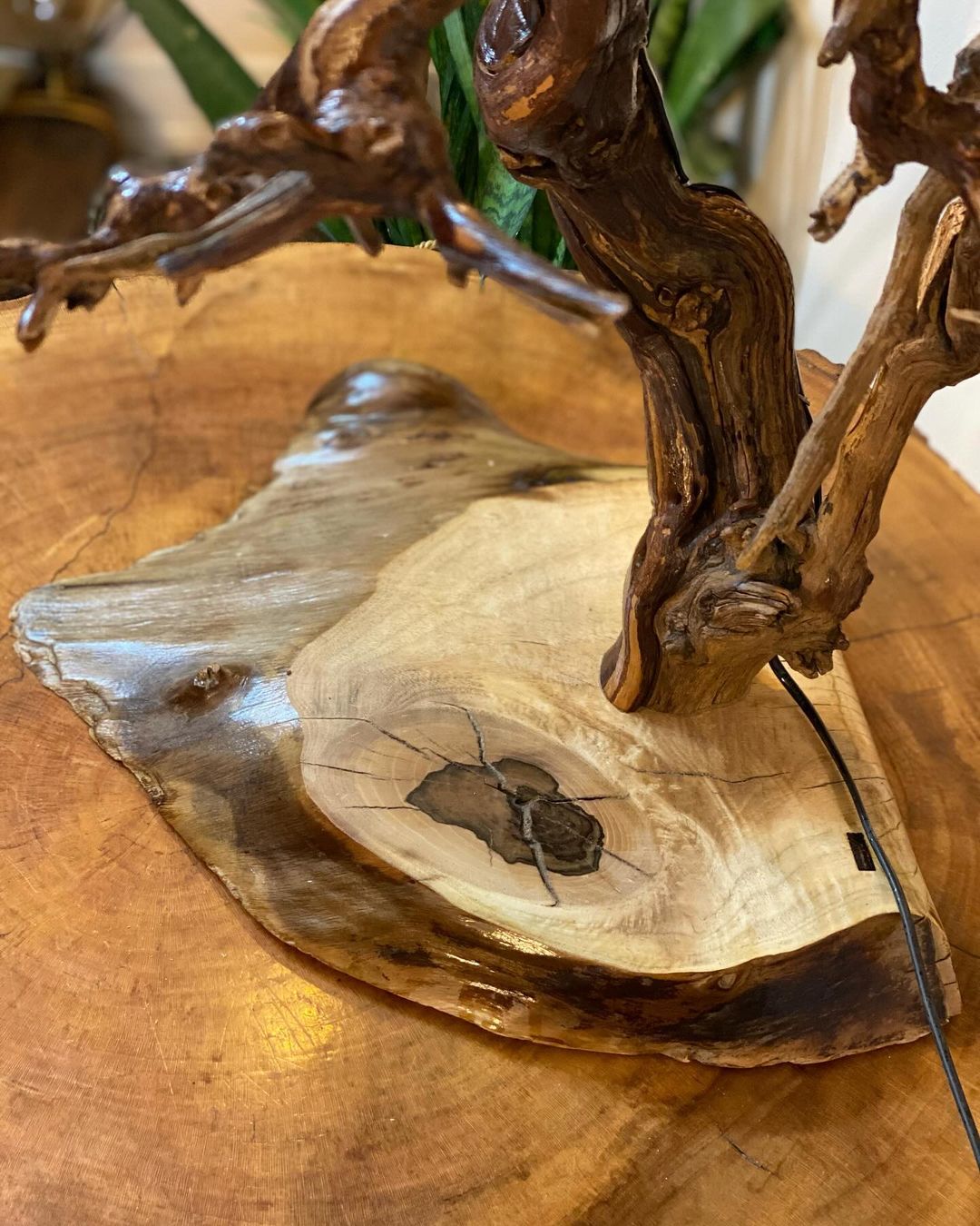 A handcrafted wooden sink integrated into a sculptural driftwood piece, highlighting the natural wood grain and knots.