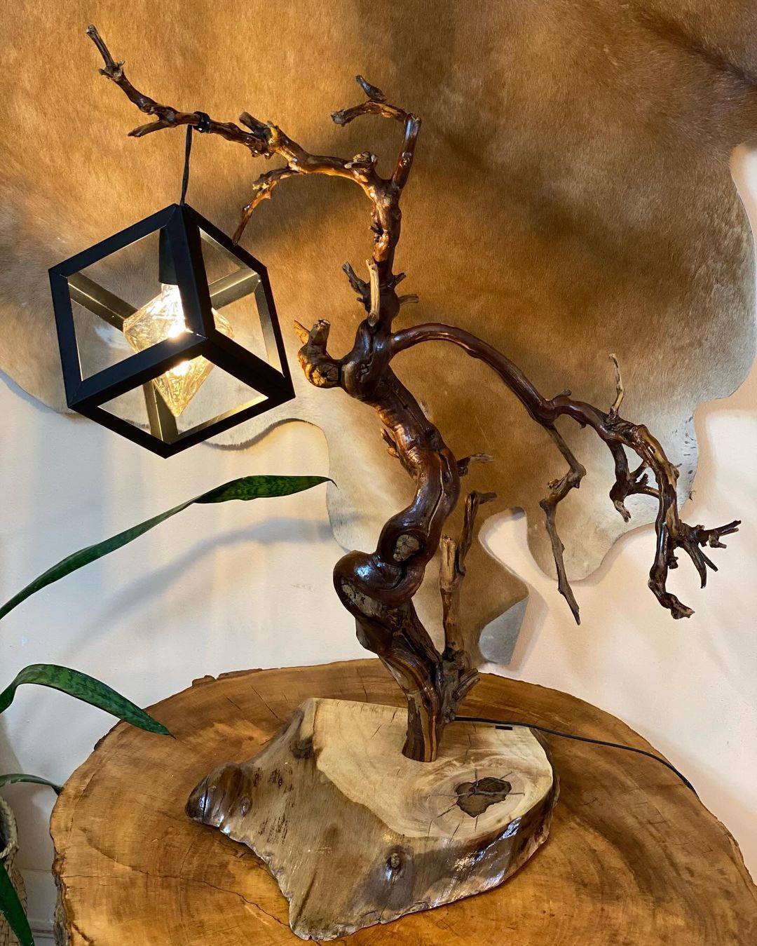 A uniquely crafted wooden lamp stand with organic contours, extending a lantern amongst twisted branches, set against a textured backdrop.