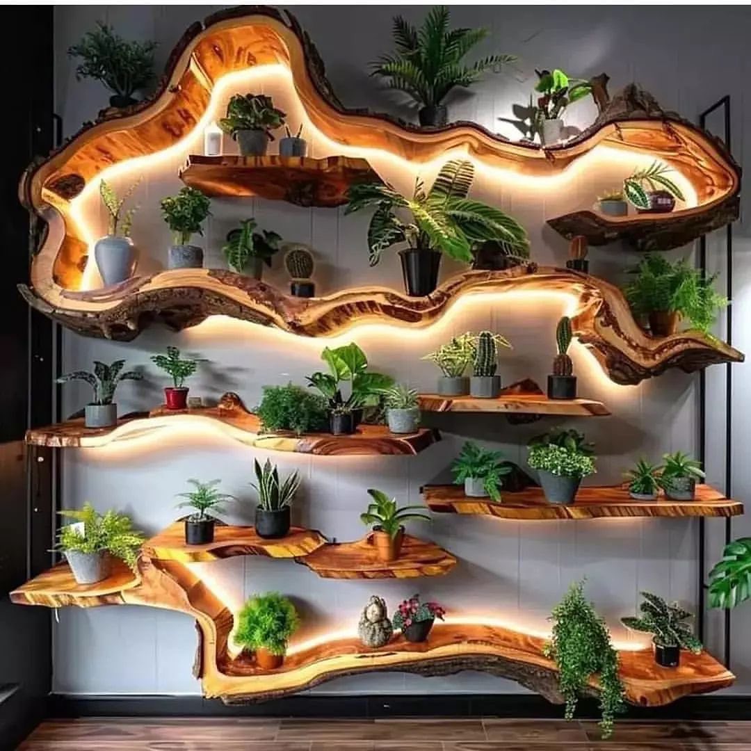 Unique Wooden Shelf Design with Plants