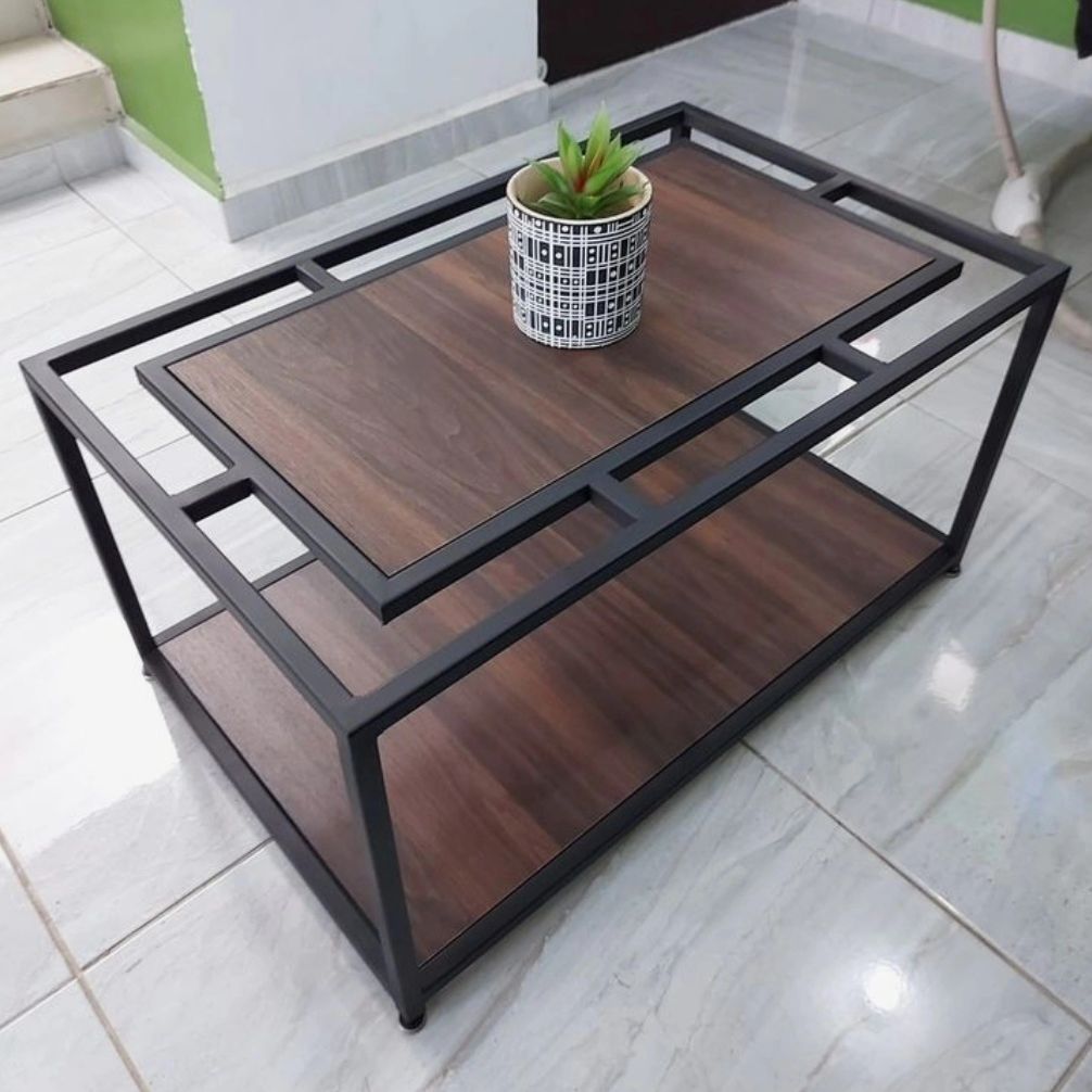 Contemporary wooden and metal coffee table featuring a potted succulent