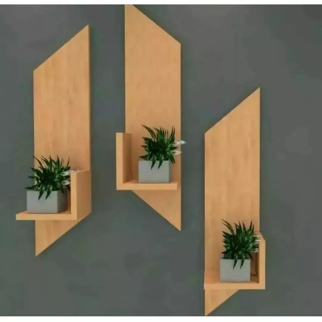 Creative wall-mounted plant shelves