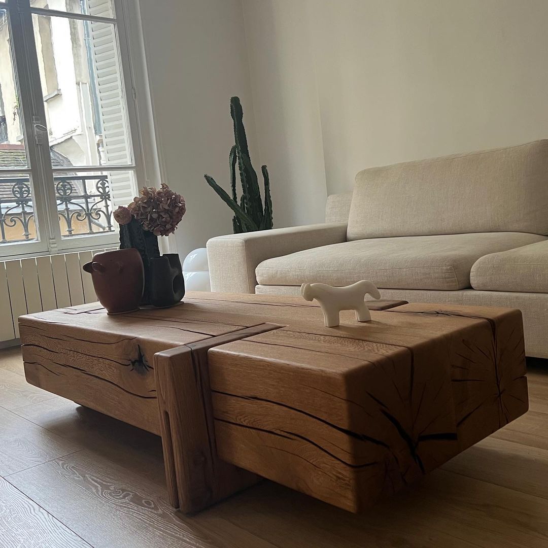 A minimalist living room with a touch of nature