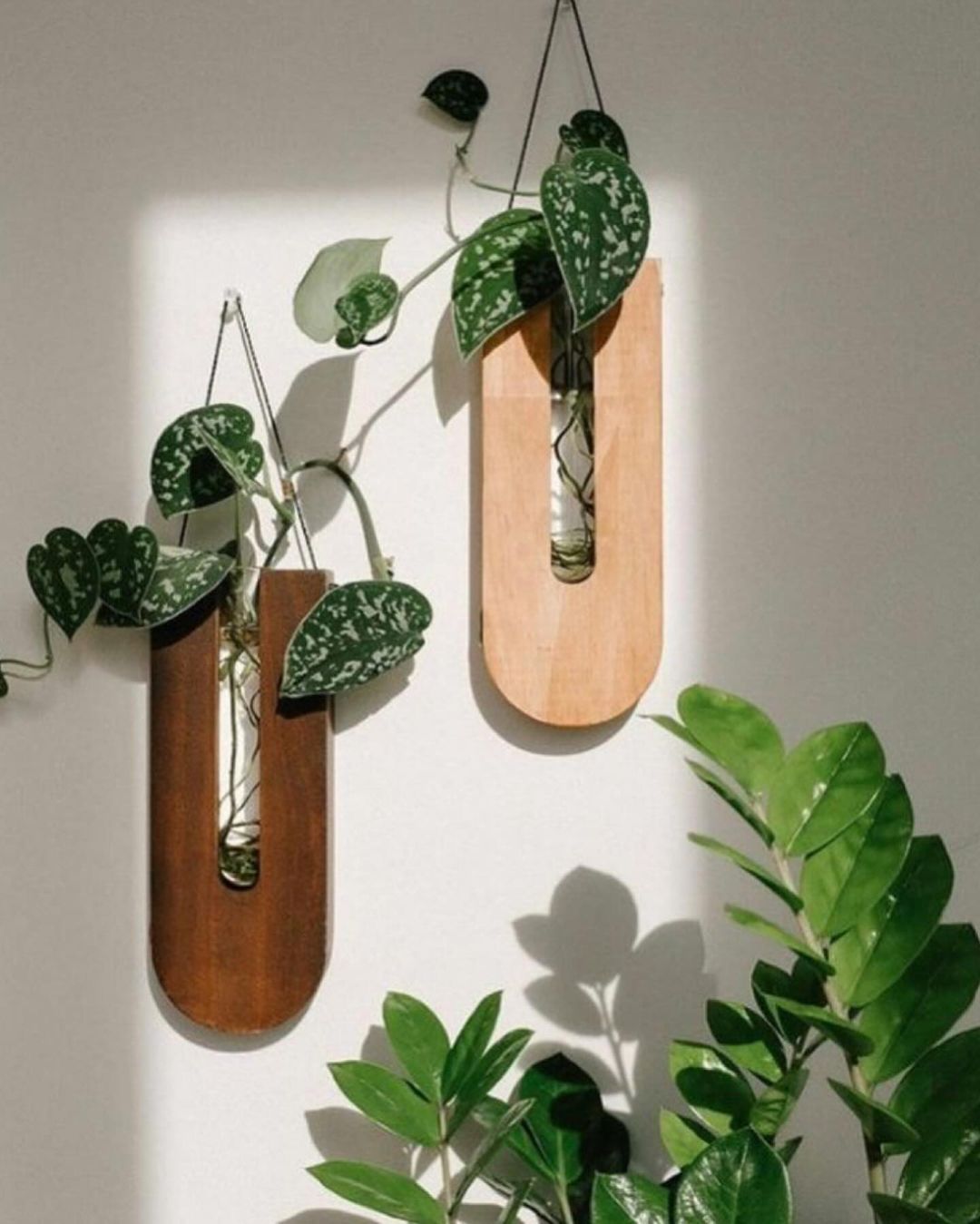 Modern wall-mounted planters