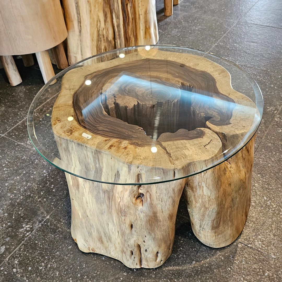 A unique wooden stump coffee table with a glass top