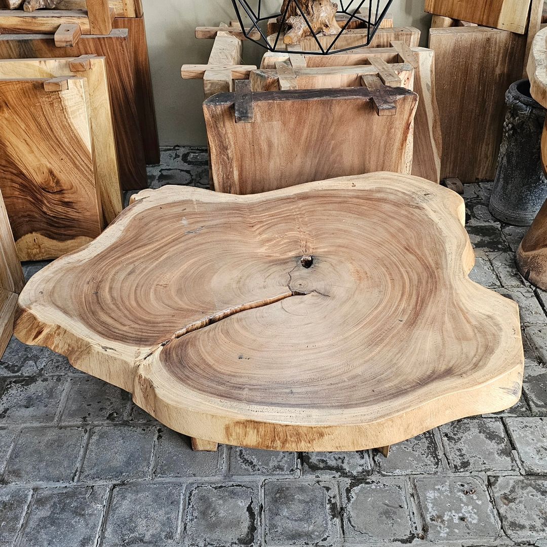 Beautifully polished cross-section of a wooden log