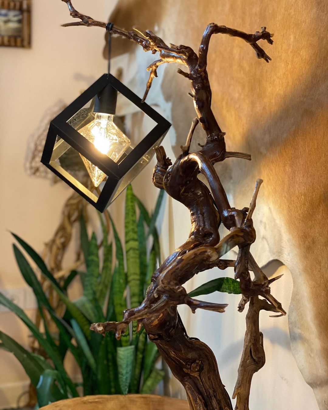 A sculptural wooden lamp with twisted branches supporting a black geometric pendant light