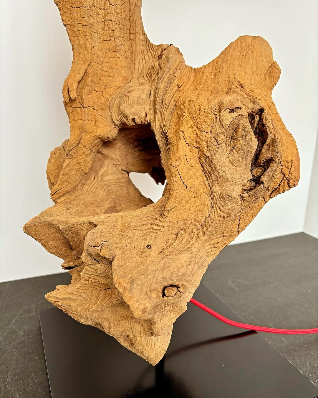 A unique piece of twisted wood art on display