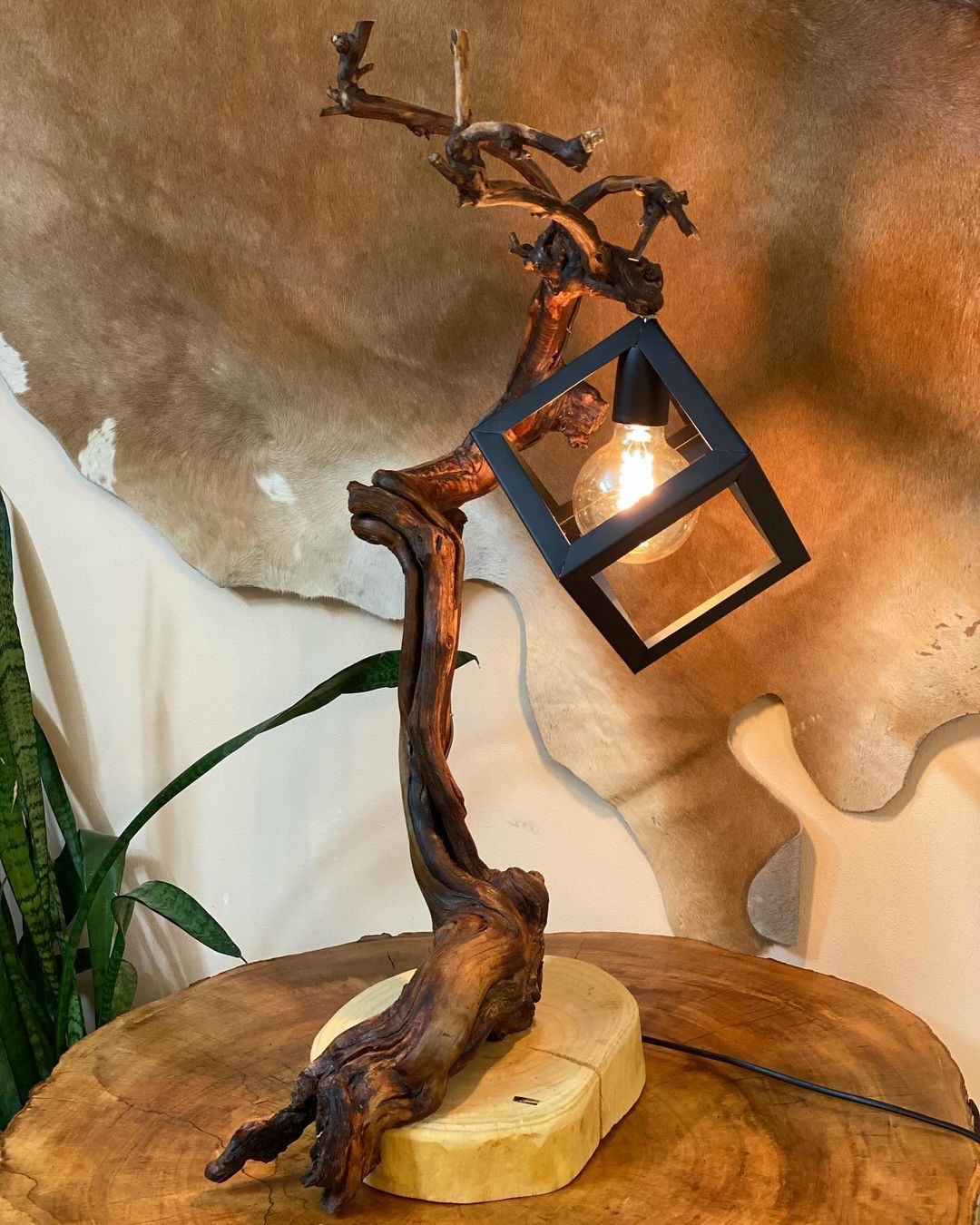 Unique Driftwood and Metal Lantern Lamp