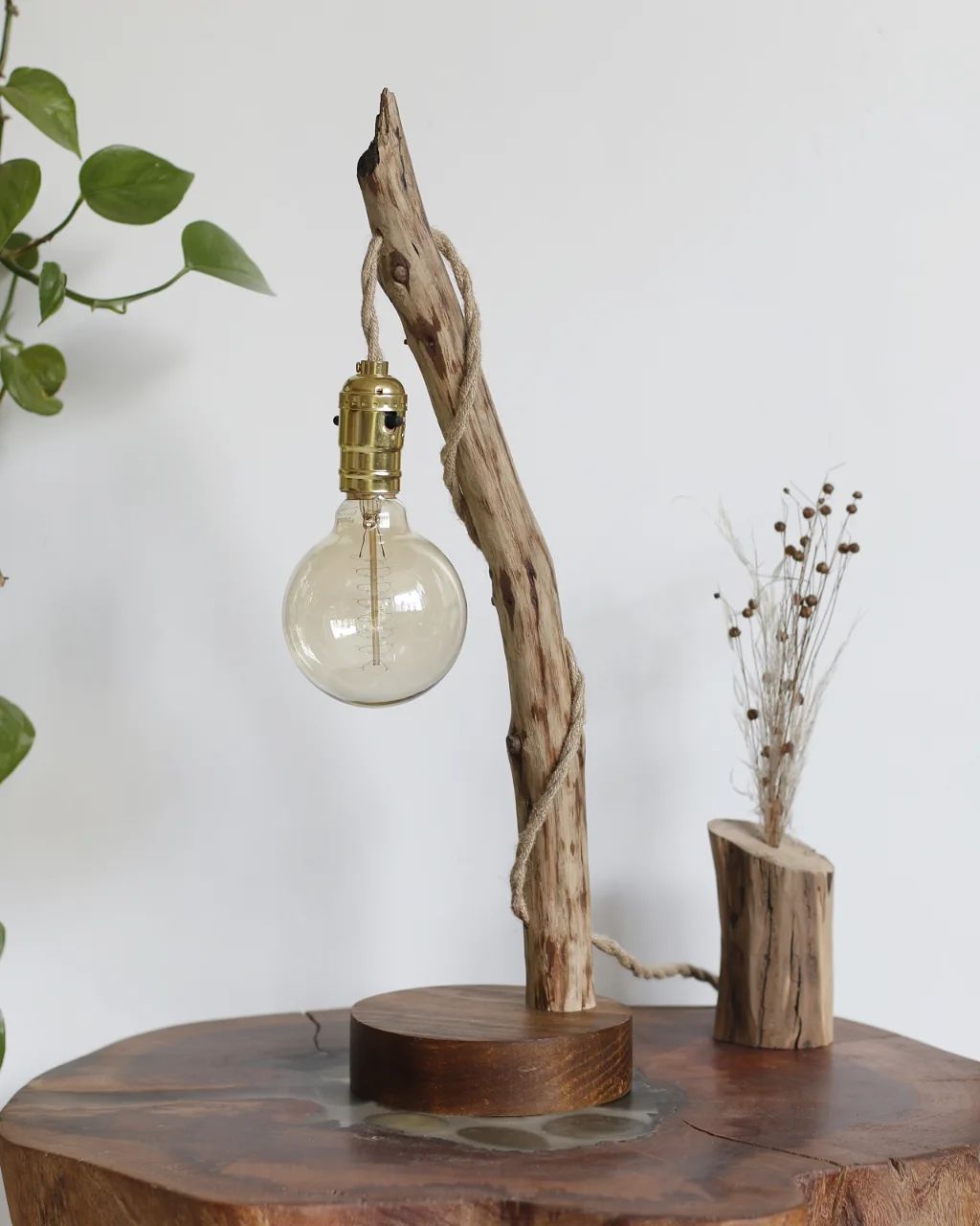 Unique Driftwood Lamp