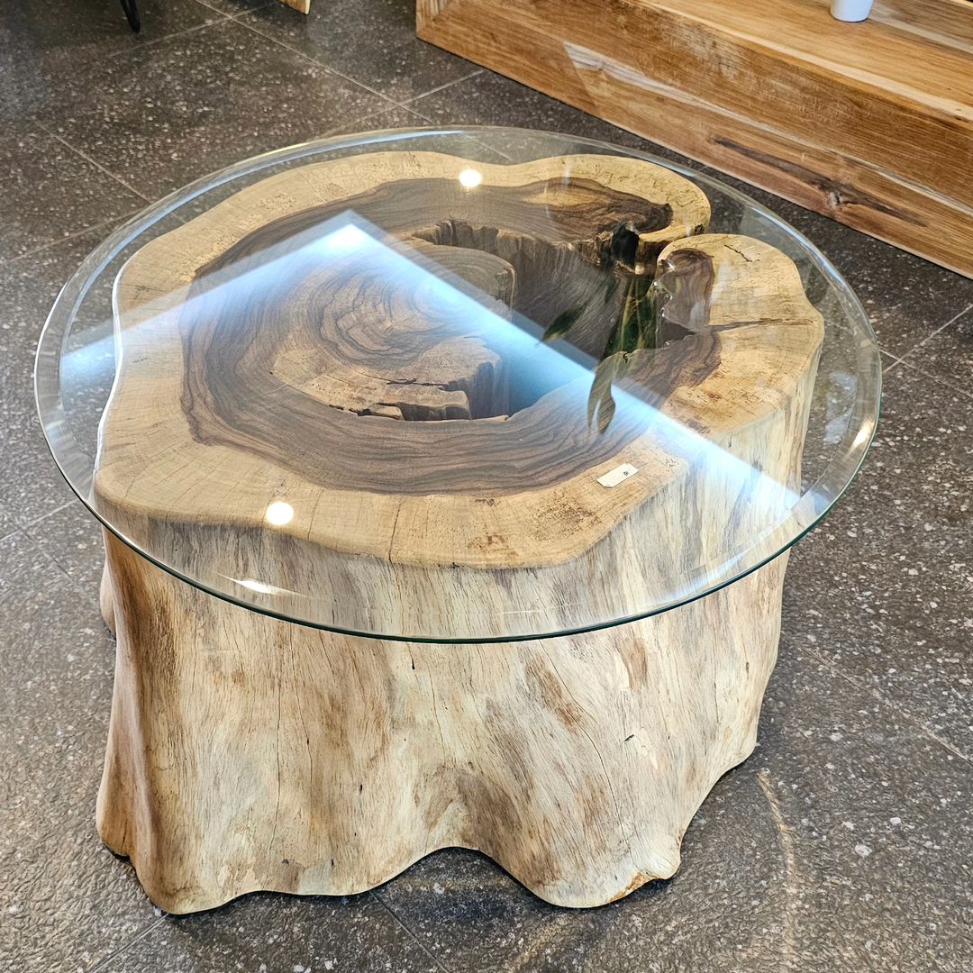 A unique coffee table crafted from a cross-section of a tree trunk with a glass top