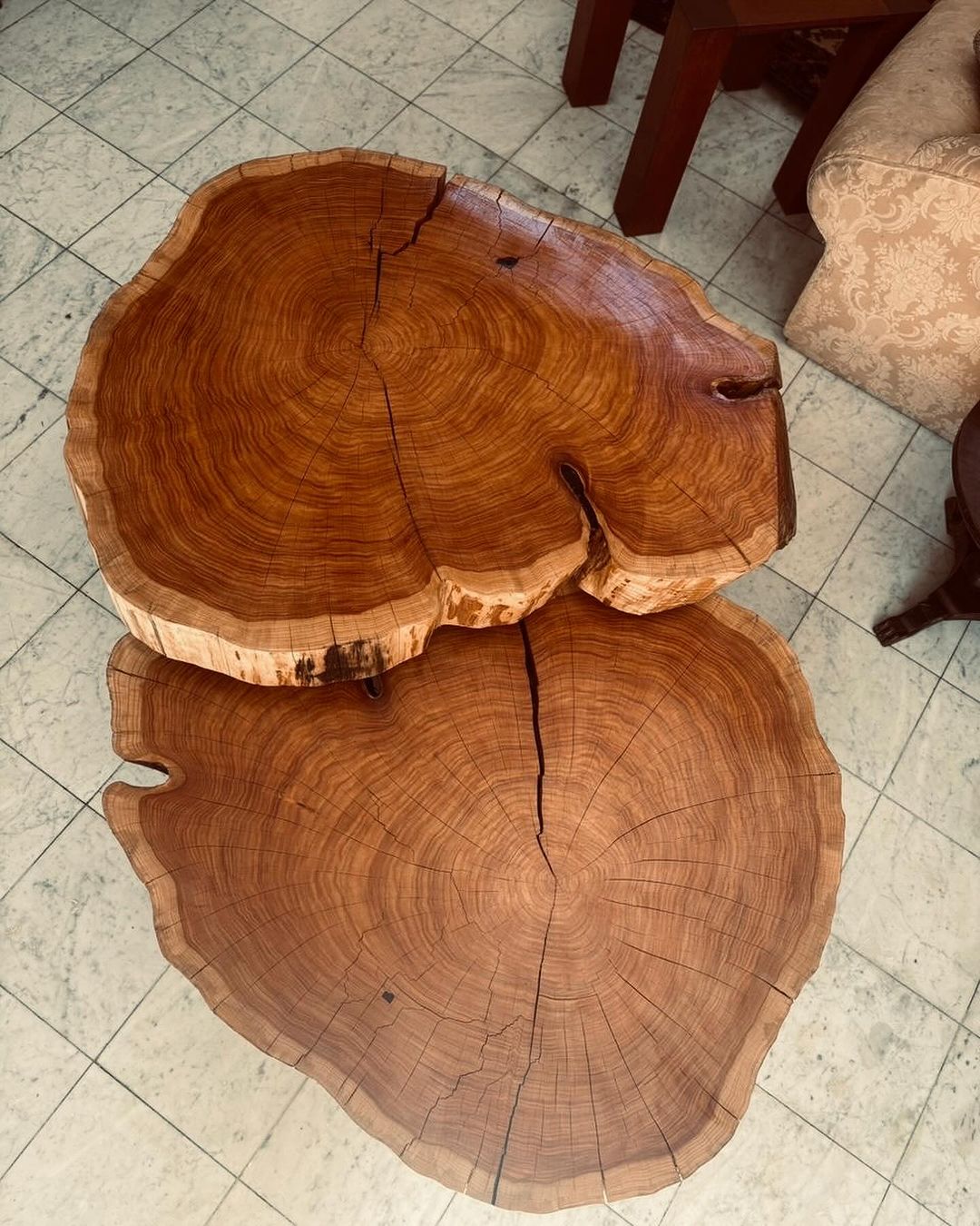 A unique wooden table crafted from cross-sections of a tree