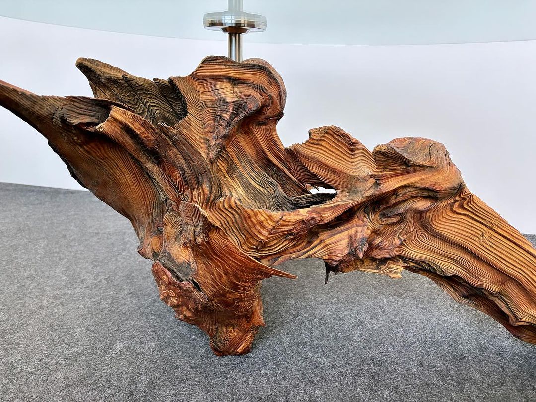 A beautifully sculpted piece of wood demonstrating nature's artistry