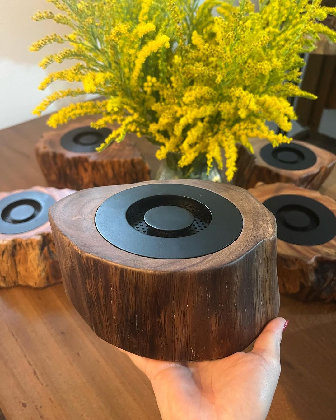 A hand holding a wooden crafted speaker with a black top